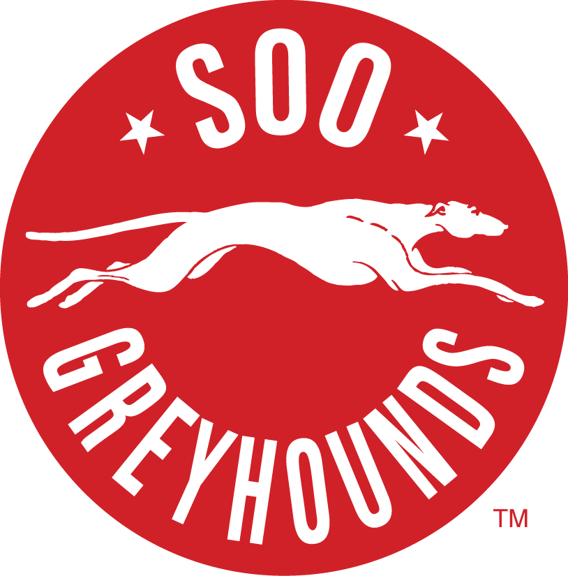 Sault Ste. Marie Greyhounds 2013 14-Pres Primary Logo vinyl decal